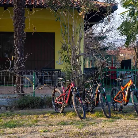 Greenhouse Del * فيفيروني